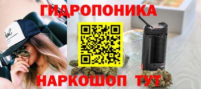 гашишное масло Будённовск